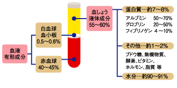 血液の組成の図